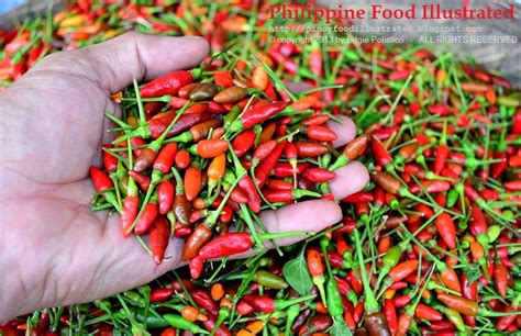 SILI Siling Labuyo Philippine Bird's Eye Pepper.
